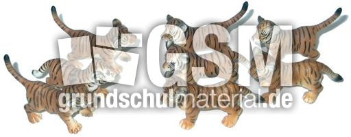 Tiger-3+5.jpg